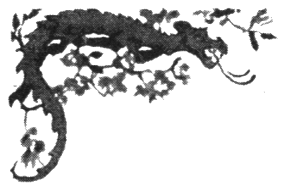 Иллюстрация к книге — Шпион из Калькутты. Амалия и генералиссимус [i_005.png]