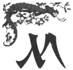 Иллюстрация к книге — Шпион из Калькутты. Амалия и генералиссимус [i_009.png]