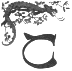 Иллюстрация к книге — Шпион из Калькутты. Амалия и генералиссимус [i_012.png]