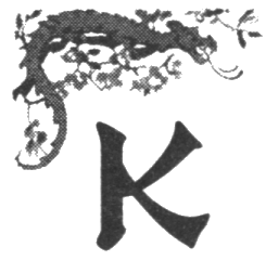 Иллюстрация к книге — Шпион из Калькутты. Амалия и генералиссимус [i_015.png]