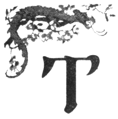 Иллюстрация к книге — Шпион из Калькутты. Амалия и генералиссимус [i_025.png]