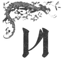 Иллюстрация к книге — Шпион из Калькутты. Амалия и генералиссимус [i_027.png]