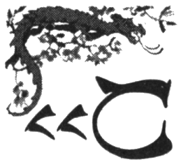 Иллюстрация к книге — Шпион из Калькутты. Амалия и генералиссимус [i_029.png]