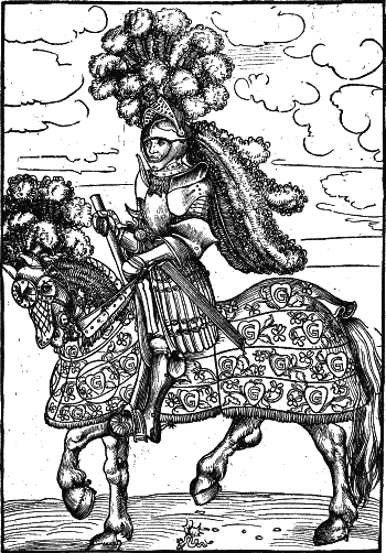 Иллюстрация к книге — Другая история войн. От палок до бомбард [i_049.png]