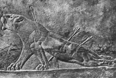 Иллюстрация к книге — Другая история литературы. От самого начала до наших дней [i_115.jpg]