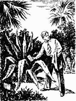 Иллюстрация к книге — Рассказы майора Пронина [any2fbimgloader15.png]