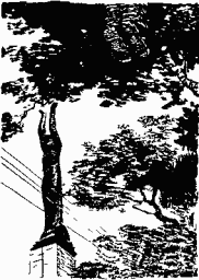 Иллюстрация к книге — Медная пуговица [any2fbimgloader8.png]