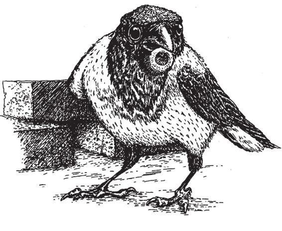 Иллюстрация к книге — Разделить на сто [_24.jpg]