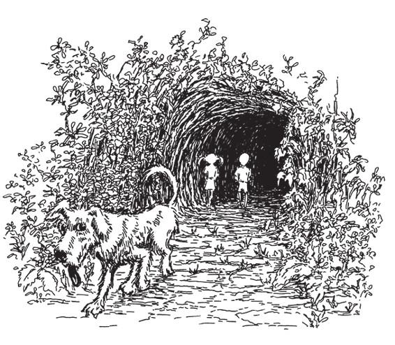 Иллюстрация к книге — Разделить на сто [_28.jpg]