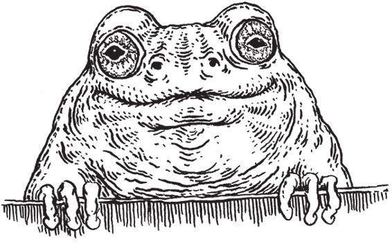 Иллюстрация к книге — Разделить на сто [_39.jpg]