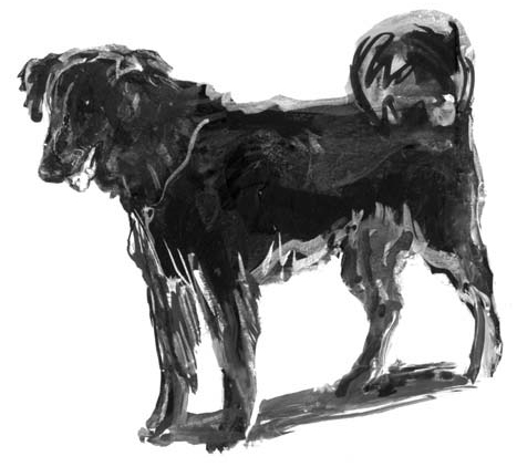 Иллюстрация к книге — Пианино на лямке [i_007.jpg]