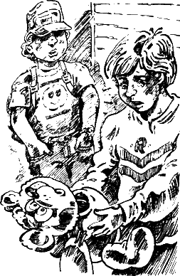 Иллюстрация к книге — Дело о зеленом саквояже [i_002.png]