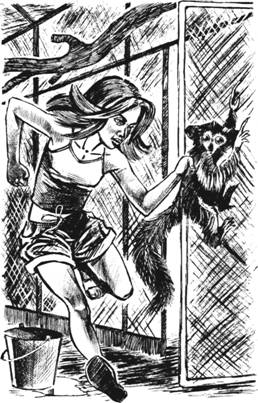 Иллюстрация к книге — Дело о черном вороне [pic_6.jpg]