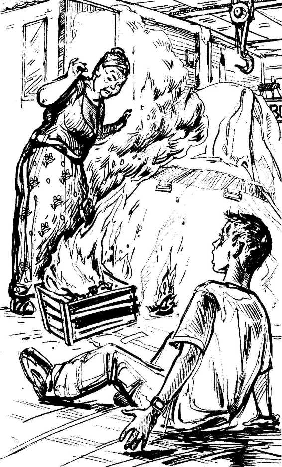 Иллюстрация к книге — Дело о небесном паруснике [i_005.jpg]