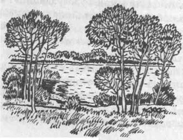 Иллюстрация к книге — Мансарда на углу Бейкер-стрит [i_005.jpg]