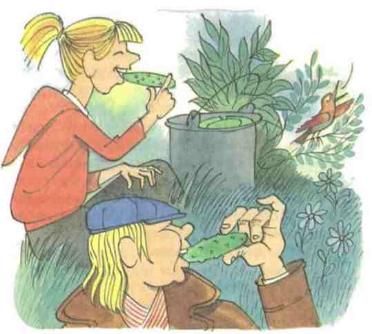 Иллюстрация к книге — Куролесов и Матрос подключаются [i_023.jpg]