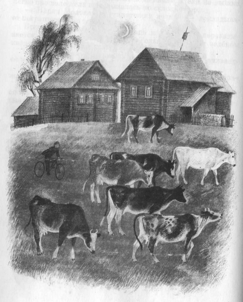 Иллюстрация к книге — Кепка с карасями [i_019.jpg]