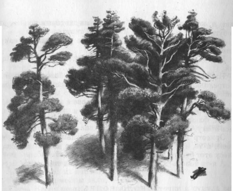 Иллюстрация к книге — Кепка с карасями [i_024.jpg]