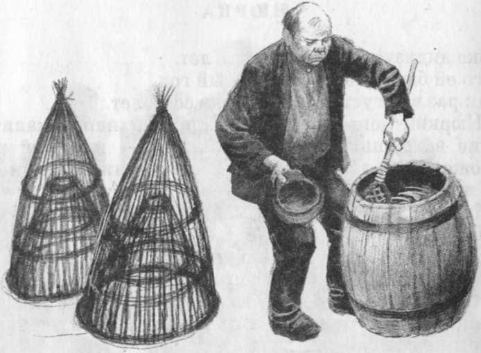 Иллюстрация к книге — Кепка с карасями [i_031.jpg]