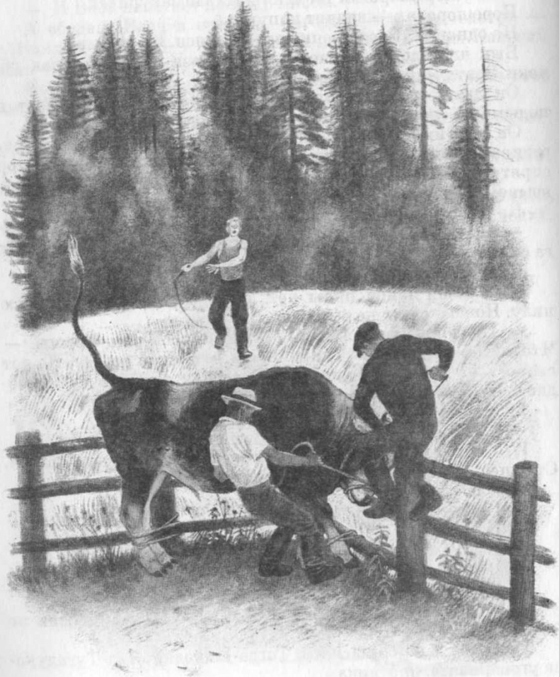 Иллюстрация к книге — Кепка с карасями [i_034.jpg]