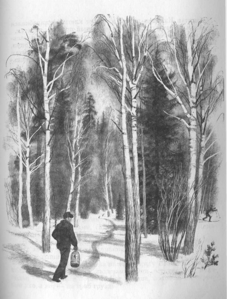 Иллюстрация к книге — Кепка с карасями [i_041.jpg]