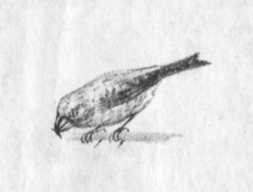 Иллюстрация к книге — Кепка с карасями [i_042.jpg]