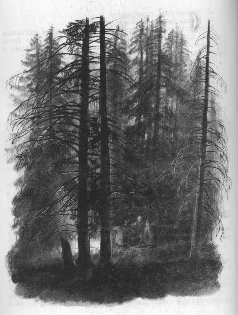 Иллюстрация к книге — Кепка с карасями [i_044.jpg]