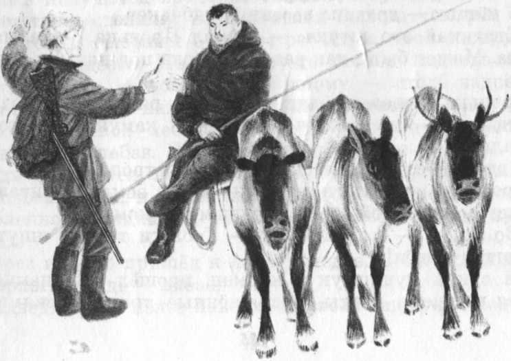 Иллюстрация к книге — Кепка с карасями [i_047.jpg]