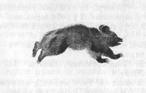 Иллюстрация к книге — Кепка с карасями [i_049.jpg]