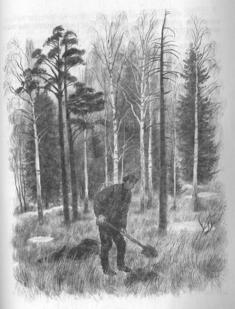 Иллюстрация к книге — Кепка с карасями [i_056.jpg]