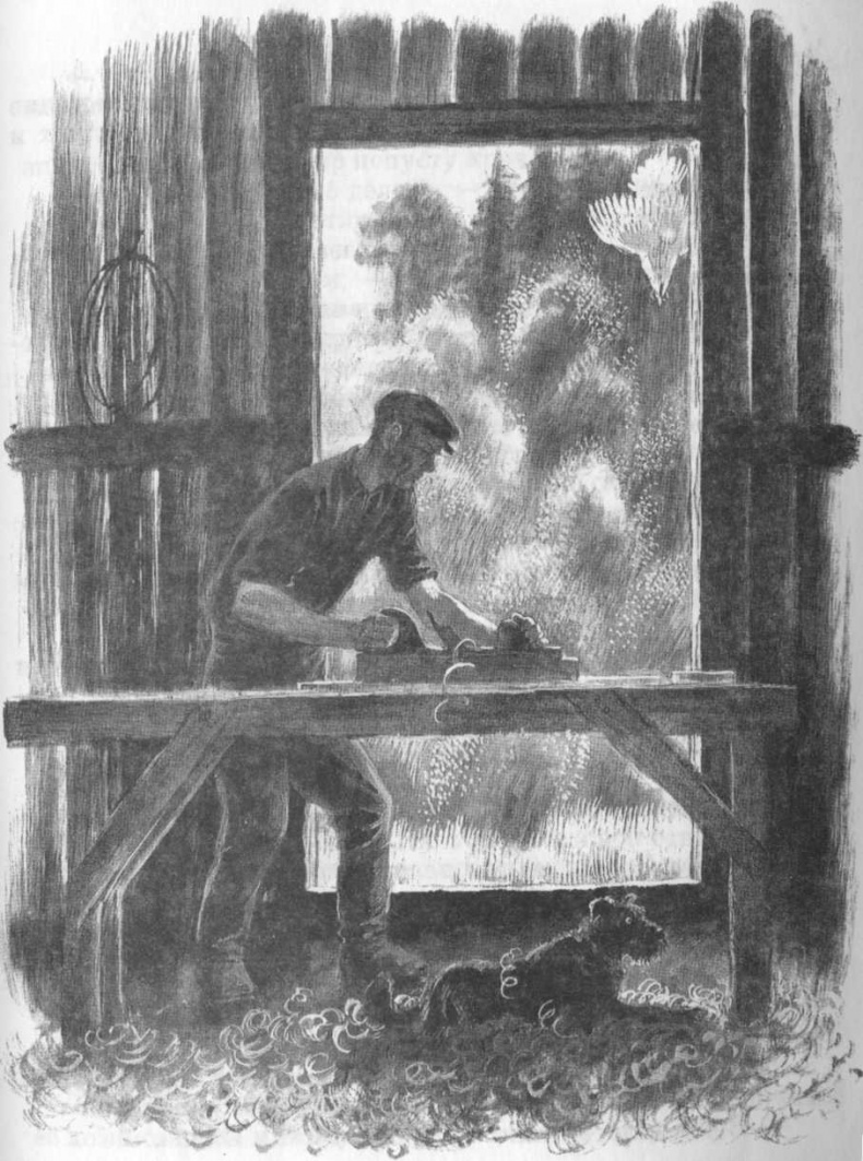 Иллюстрация к книге — Кепка с карасями [i_058.jpg]