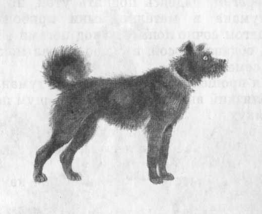 Иллюстрация к книге — Кепка с карасями [i_061.jpg]