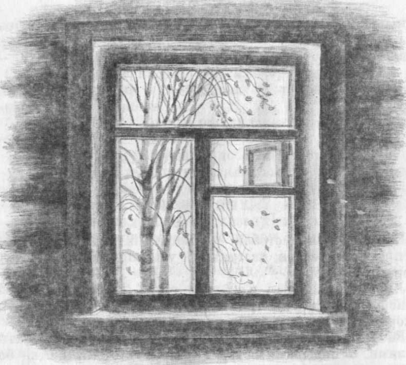 Иллюстрация к книге — Кепка с карасями [i_065.jpg]