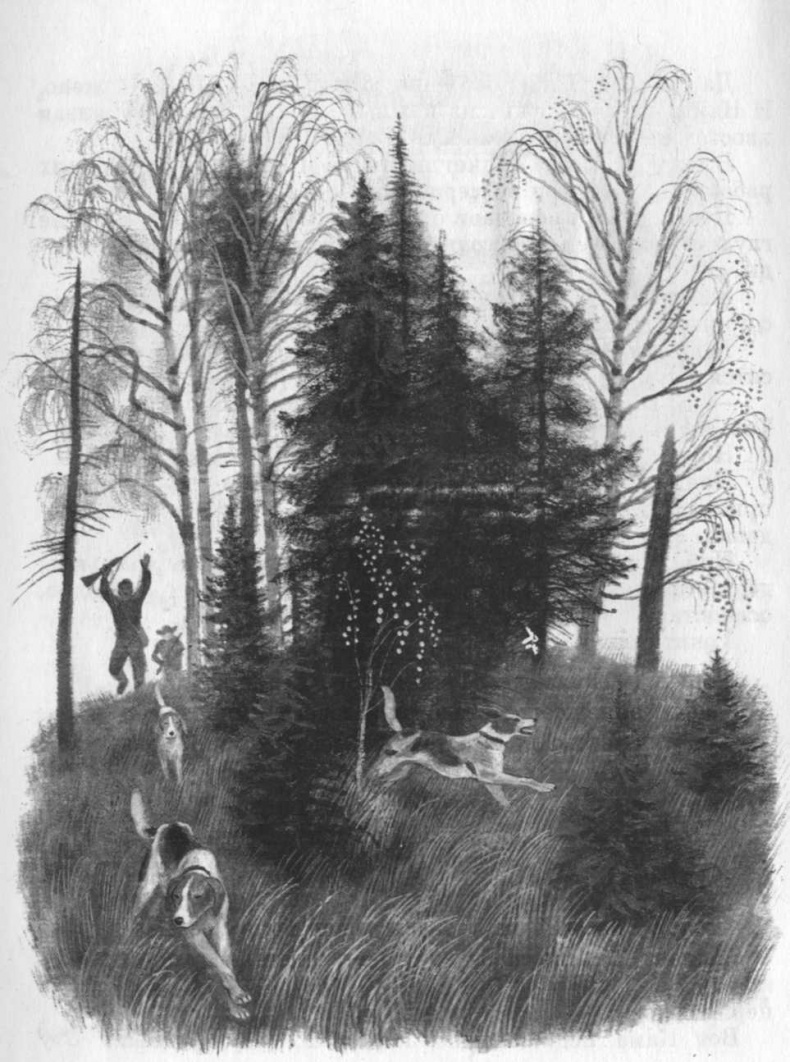 Иллюстрация к книге — Кепка с карасями [i_066.jpg]