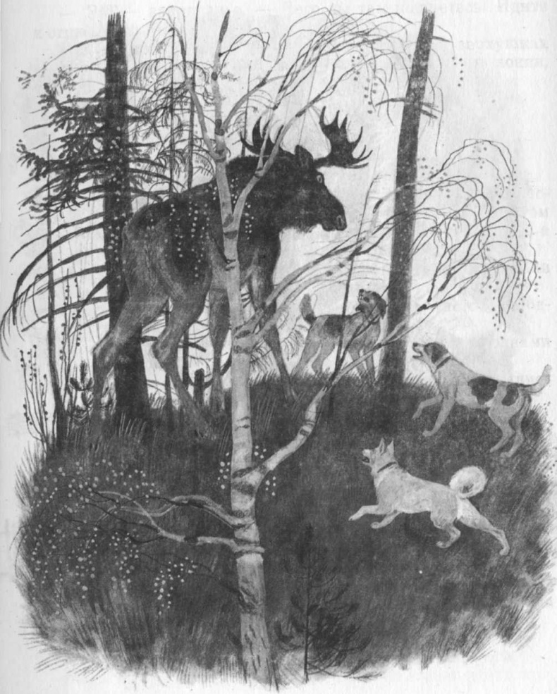 Иллюстрация к книге — Кепка с карасями [i_070.jpg]