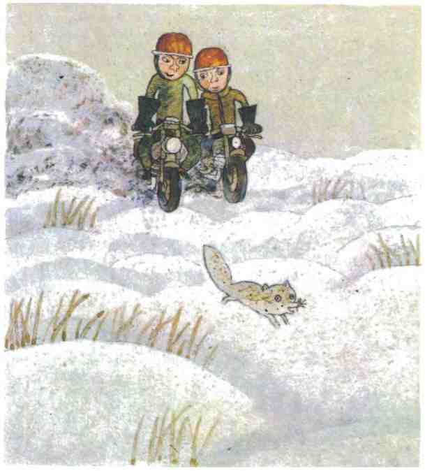 Иллюстрация к книге — Недопёсок [i_011.jpg]