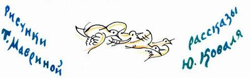 Иллюстрация к книге — Стеклянный пруд [img_2.jpeg]