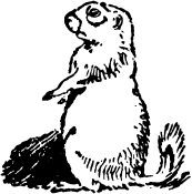 Иллюстрация к книге — Не для взрослых. Время читать! [Autogen_eBook_id17.jpg]