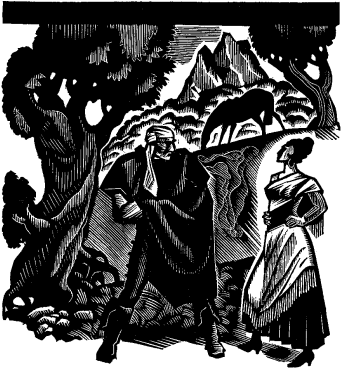 Иллюстрация к книге — Не для взрослых. Время читать! [Autogen_eBook_id19.jpg]