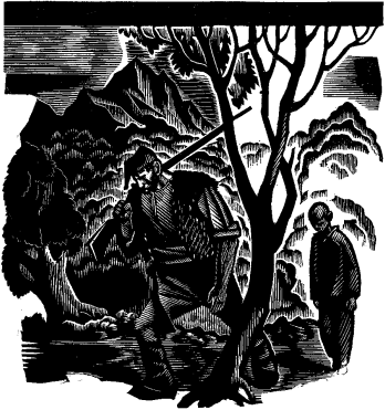 Иллюстрация к книге — Не для взрослых. Время читать! [Autogen_eBook_id20.jpg]