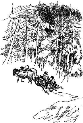 Иллюстрация к книге — Не для взрослых. Время читать! [Autogen_eBook_id24.jpg]