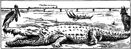 Иллюстрация к книге — Не для взрослых. Время читать! [Autogen_eBook_id54.jpg]