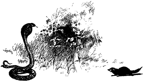 Иллюстрация к книге — Не для взрослых. Время читать! [Autogen_eBook_id55.jpg]