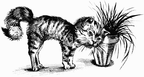 Иллюстрация к книге — Дела и ужасы Жени Осинкиной [i_008.png]