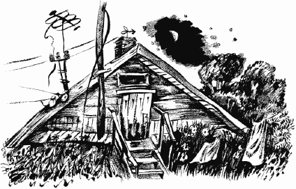 Иллюстрация к книге — Дела и ужасы Жени Осинкиной [i_031.png]