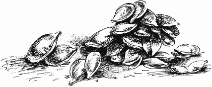 Иллюстрация к книге — Дела и ужасы Жени Осинкиной [i_039.png]