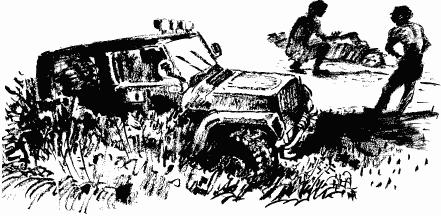 Иллюстрация к книге — Дела и ужасы Жени Осинкиной [i_054.png]