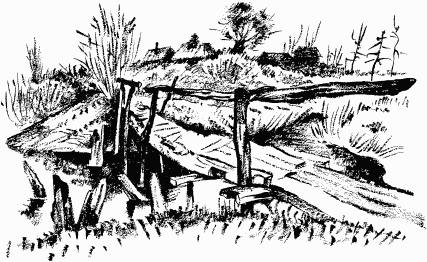 Иллюстрация к книге — Дела и ужасы Жени Осинкиной [i_058.png]