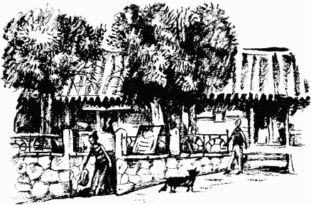 Иллюстрация к книге — Дела и ужасы Жени Осинкиной [i_099.png]