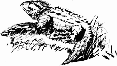 Иллюстрация к книге — Дела и ужасы Жени Осинкиной [i_118.png]